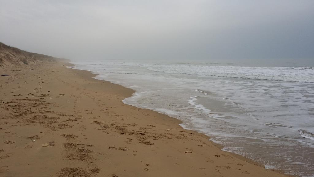 La Remigeasse Villa Dolus d'Oléron Buitenkant foto